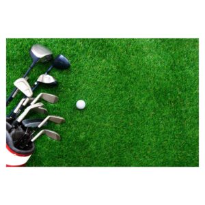 Golf ball and club in a bag on the grass