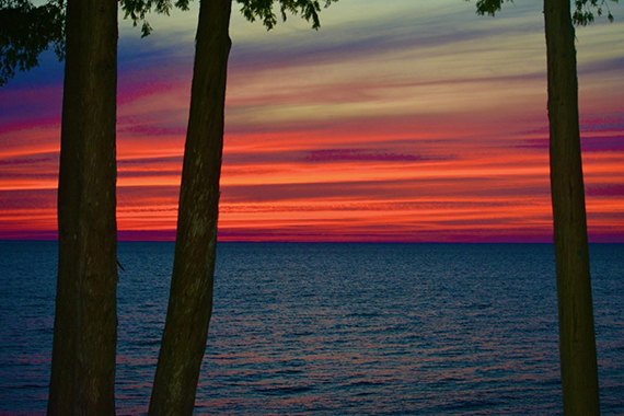 Sunset over water framed by two tree trunks